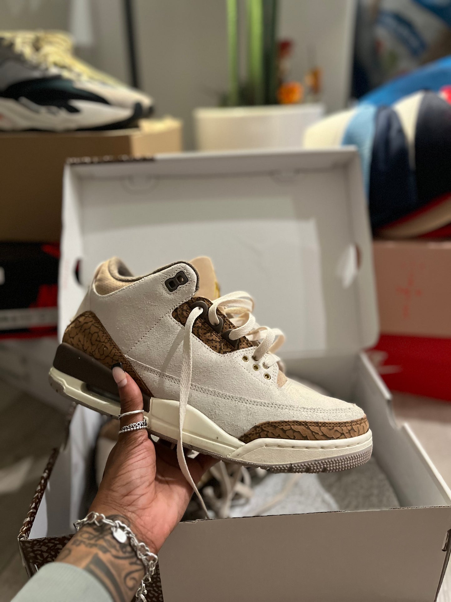 Jordan 3’s DS Palomino